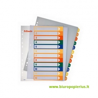  Plastikiniai spalvoti skiriamieji lapai ESSELTE, 1-5, A4, MAXI