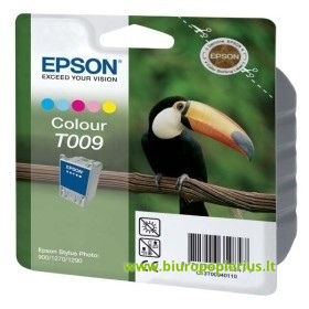 Epson T009 Foto, 330 psl.