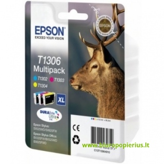 Epson T1306 rašalų komplektas 