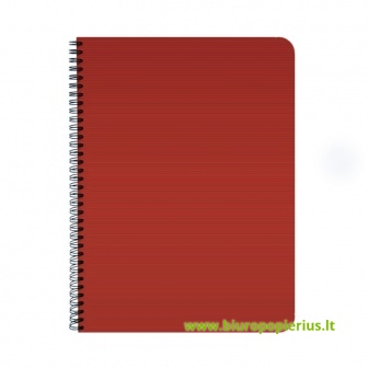  Užrašų knygelė su spirale ir skirtukais SMILTAINIS, A6, 96 lapai, langeliais