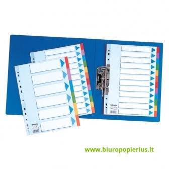  Kartoniai spalvoti skiriamieji lapai ESSELTE, 5 dalių, A4