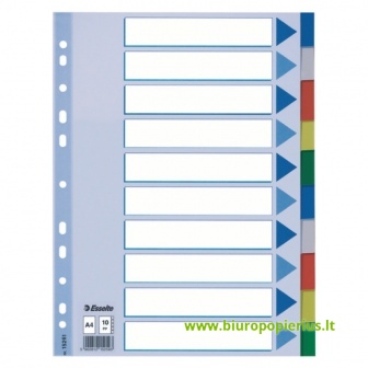  Plastikiniai spalvoti skiriamieji lapai ESSELTE, 10 dalių, A4