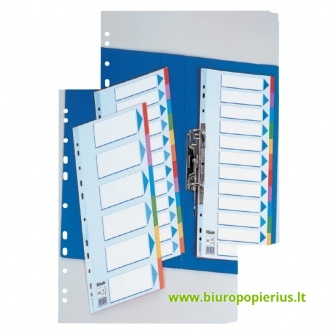  Kartoniniai spalvoti skiriamieji lapai ESSELTE, 1-31, A4
