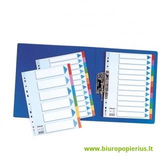 Kartoniniai spalvoti skiriamieji lapai ESSELTE, 12 dalių, A4