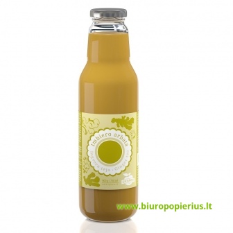  Imbierų arbata SKANOVĖ, 900 g / 750 ml