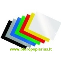  Įrišimo nugarėlės, A4, baltos spalvos, 100 vnt.